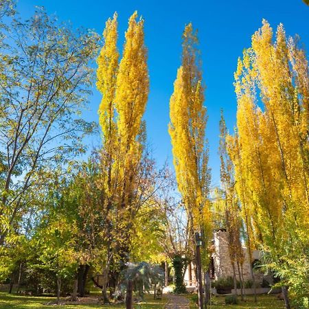 Aromos de Olivares Chacras de Coria Exterior foto