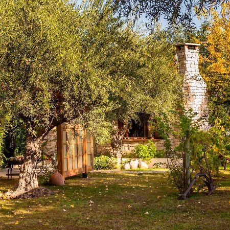 Aromos de Olivares Chacras de Coria Exterior foto
