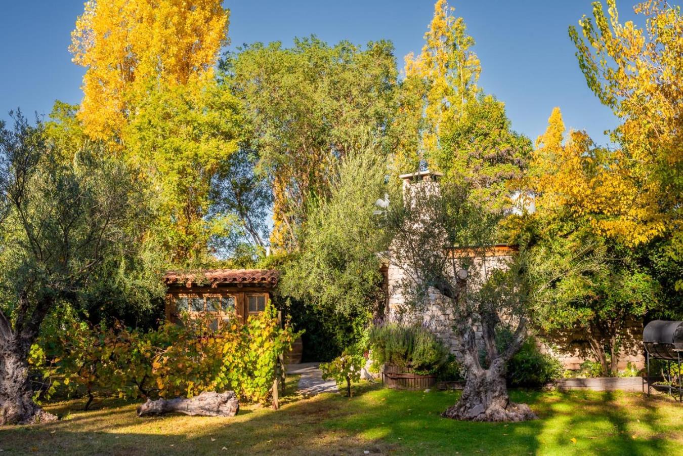 Aromos de Olivares Chacras de Coria Exterior foto