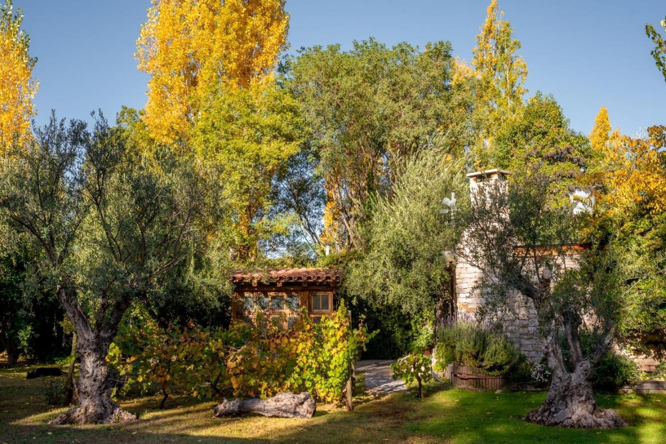 Aromos de Olivares Chacras de Coria Exterior foto